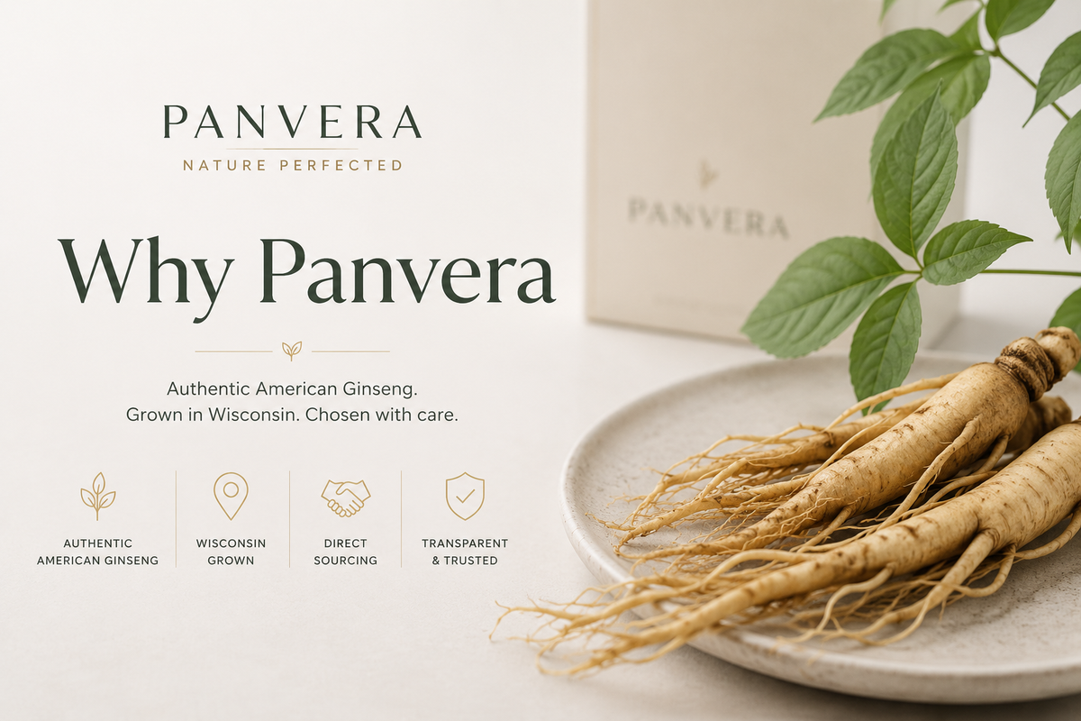 Panvera ginseng promotional image with text reading 'Why Panvera' and small feature icons, showing a plate of raw ginseng roots beside green leaves and a Panvera box in the background.